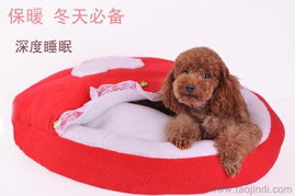 優質寵物窩墊與用品廠家直銷，批發價格盡享舒適與實惠